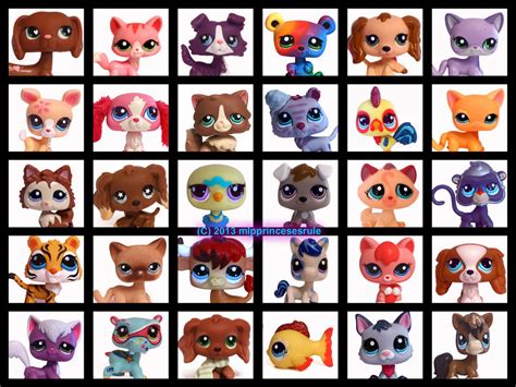 little pet shop numbers|rare littlest pet shops.